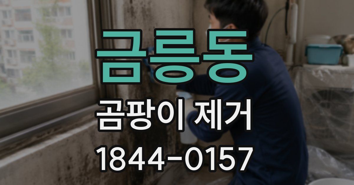 금릉동 곰팡이 제거