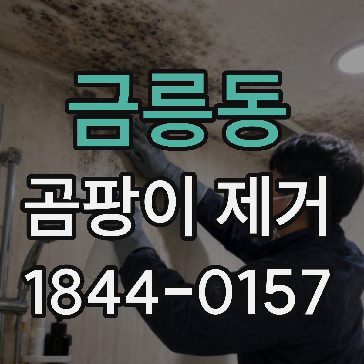 금릉동 곰팡이 제거