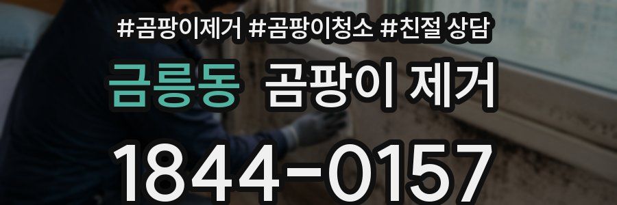 금릉동 곰팡이 제거