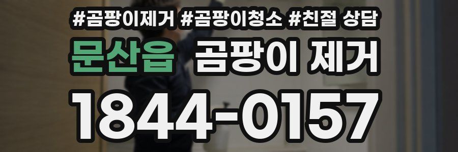 문산읍 곰팡이 제거
