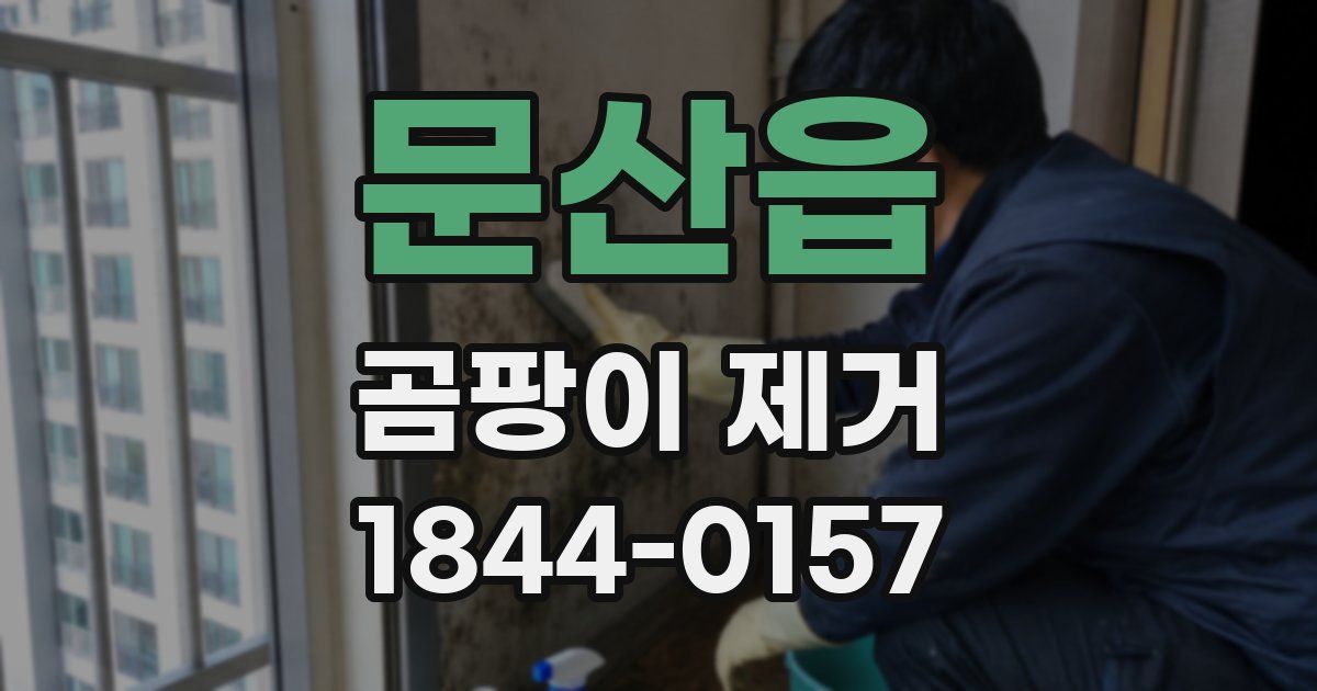문산읍 곰팡이 제거