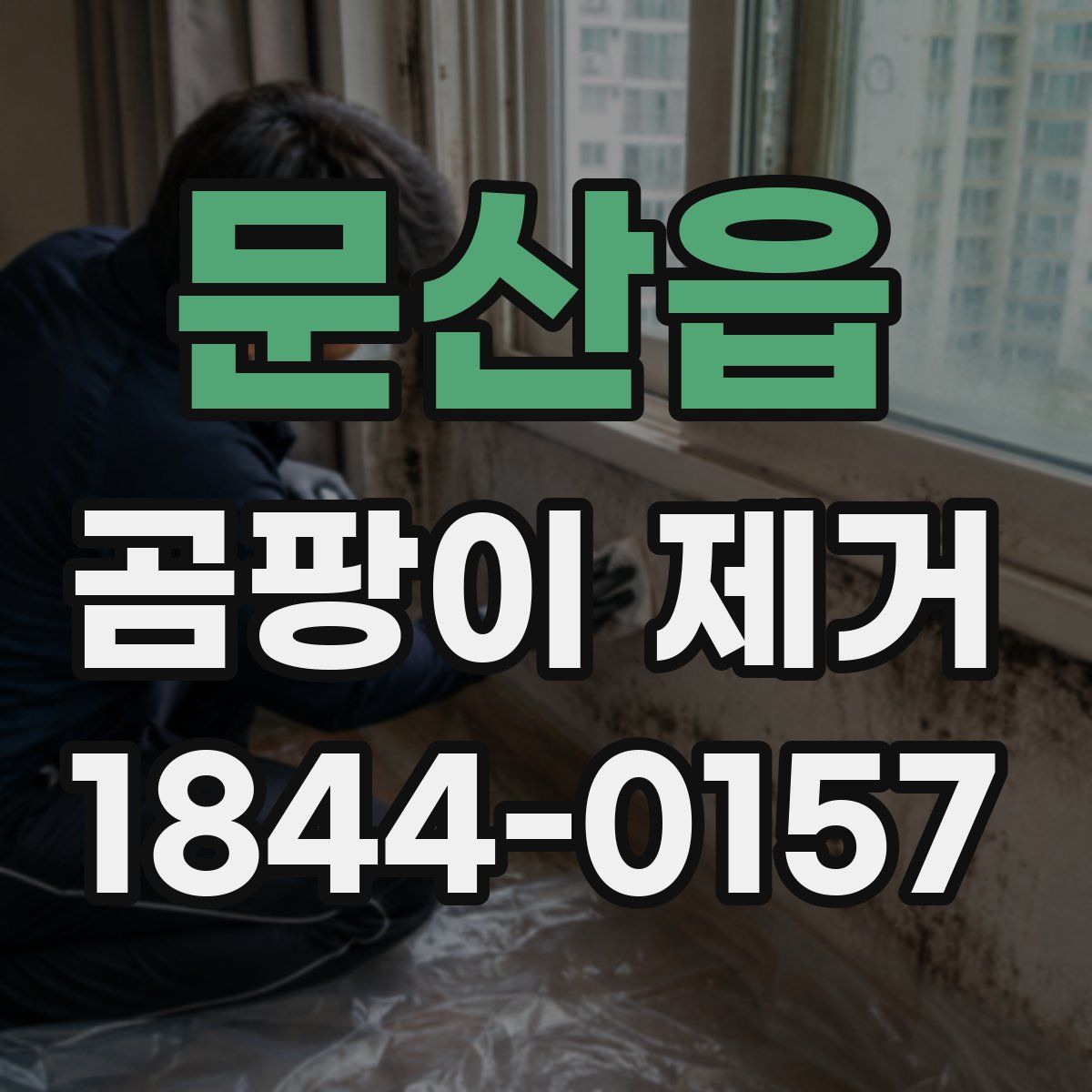 문산읍 곰팡이 제거