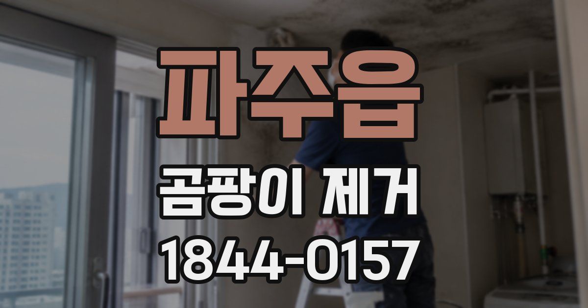 파주읍 곰팡이 제거