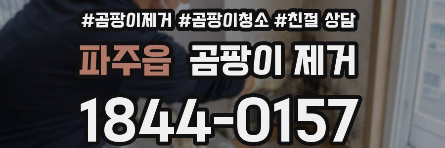 파주읍 곰팡이 제거