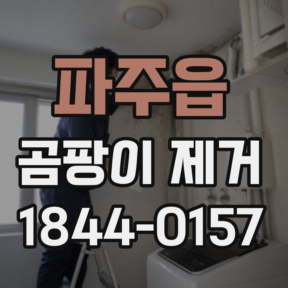 파주읍 곰팡이 제거