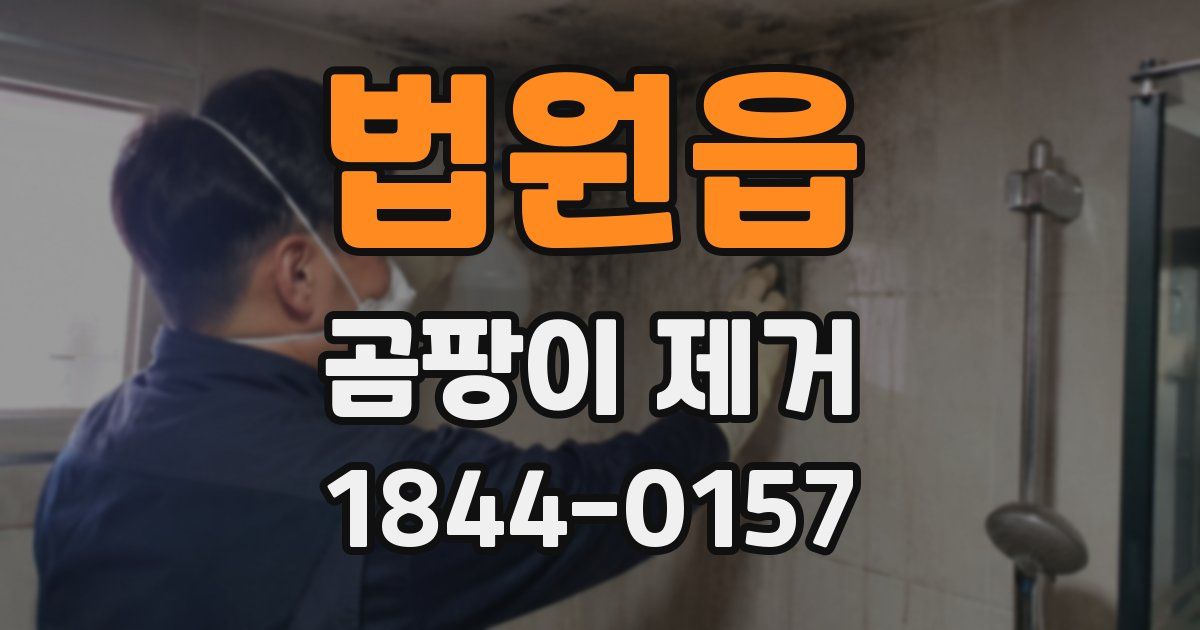 법원읍 곰팡이 제거