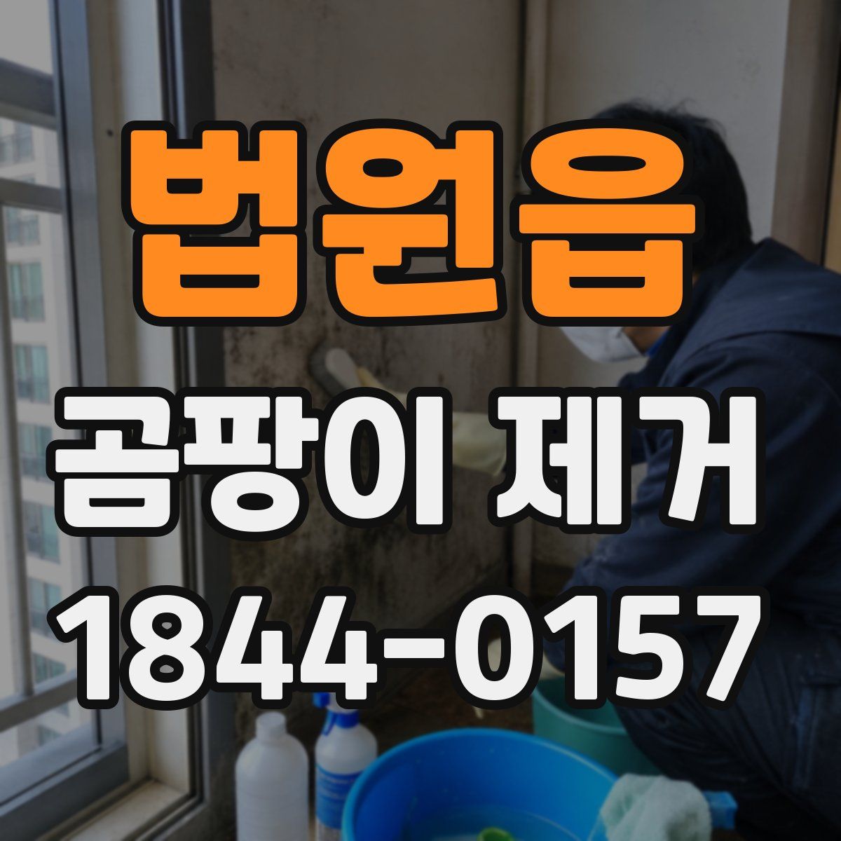 법원읍 곰팡이 제거