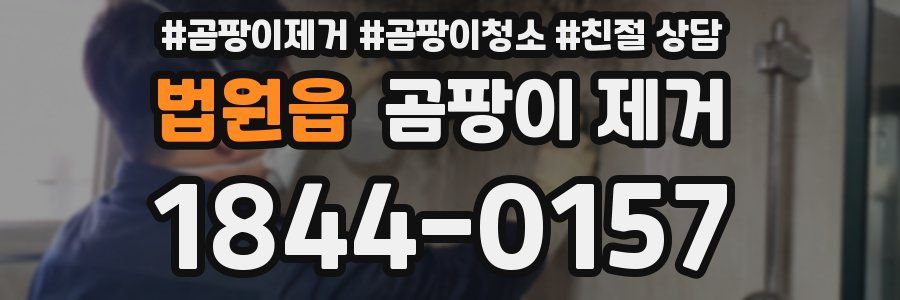 법원읍 곰팡이 제거