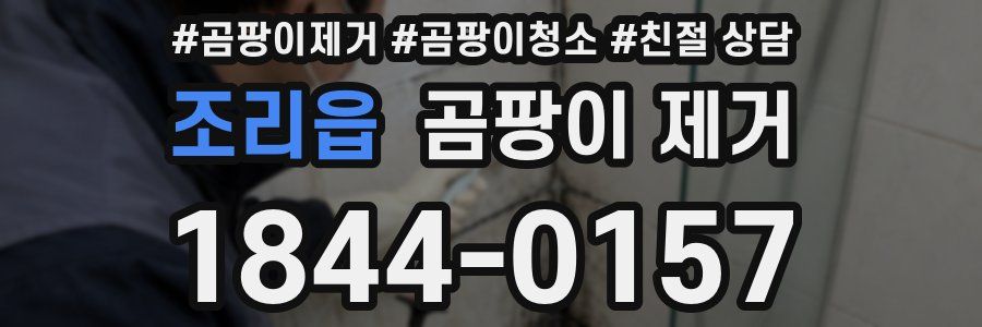조리읍 곰팡이 제거
