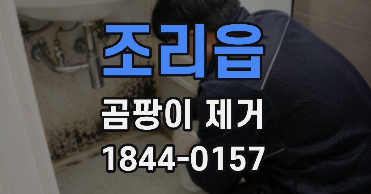 조리읍 곰팡이 제거
