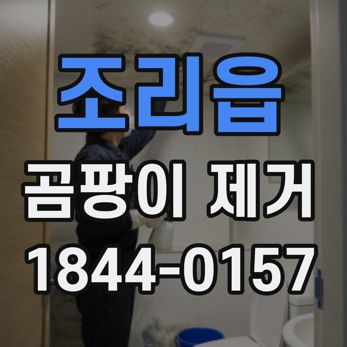 조리읍 곰팡이 제거
