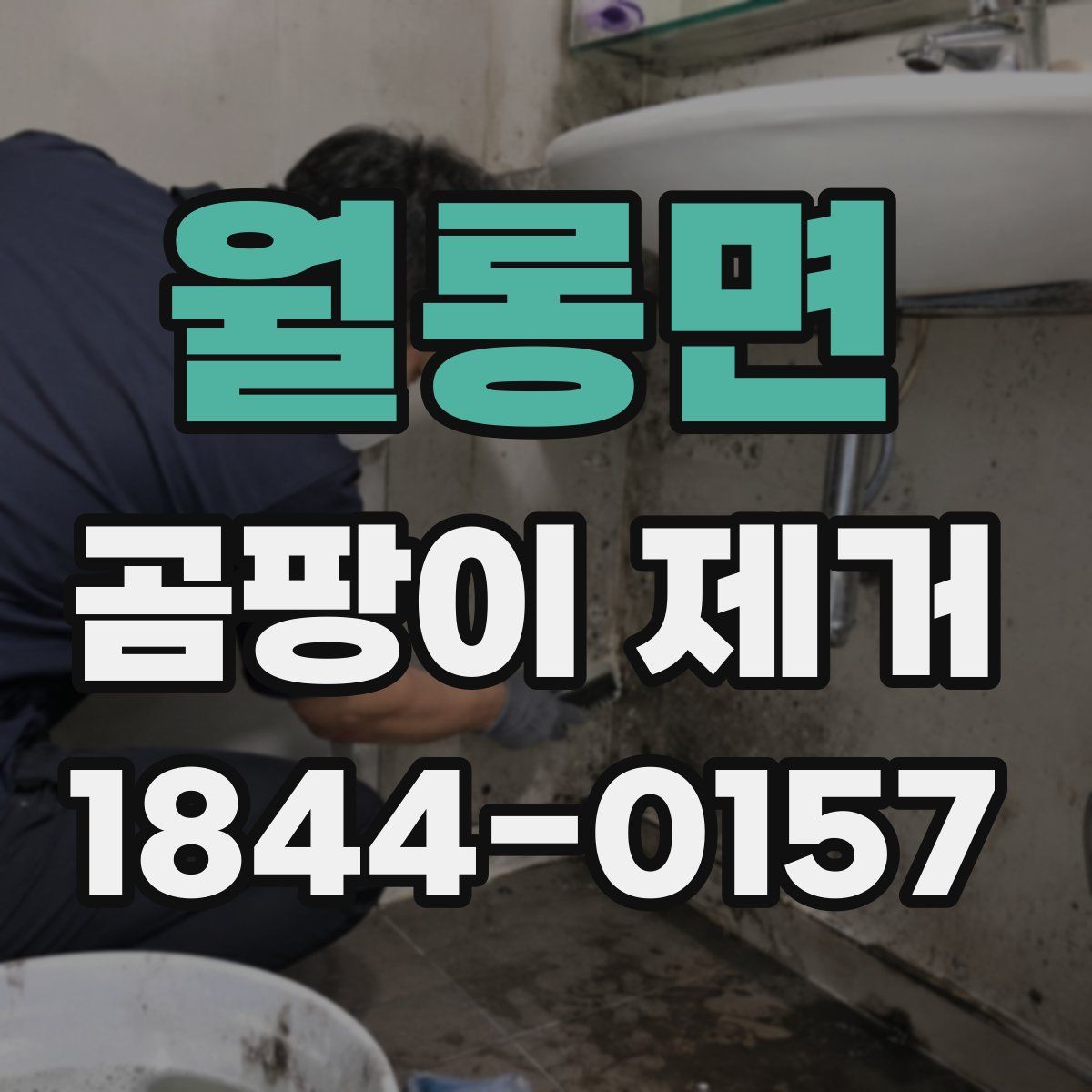 월롱면 곰팡이 제거