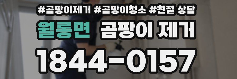 월롱면 곰팡이 제거