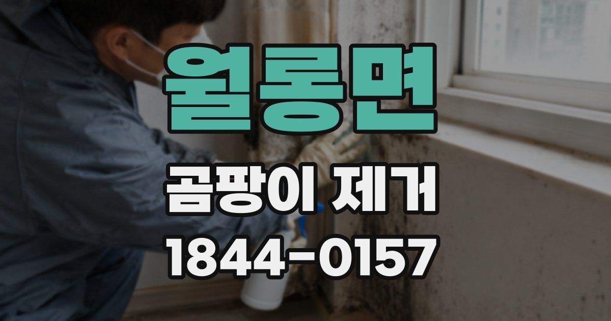 월롱면 곰팡이 제거