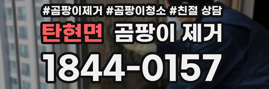 탄현면 곰팡이 제거