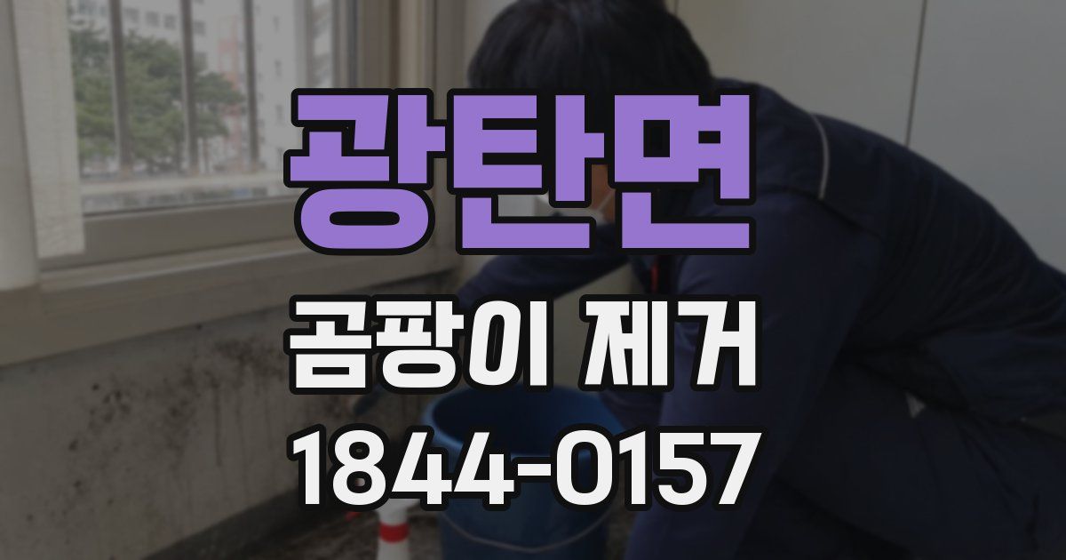 광탄면 곰팡이 제거