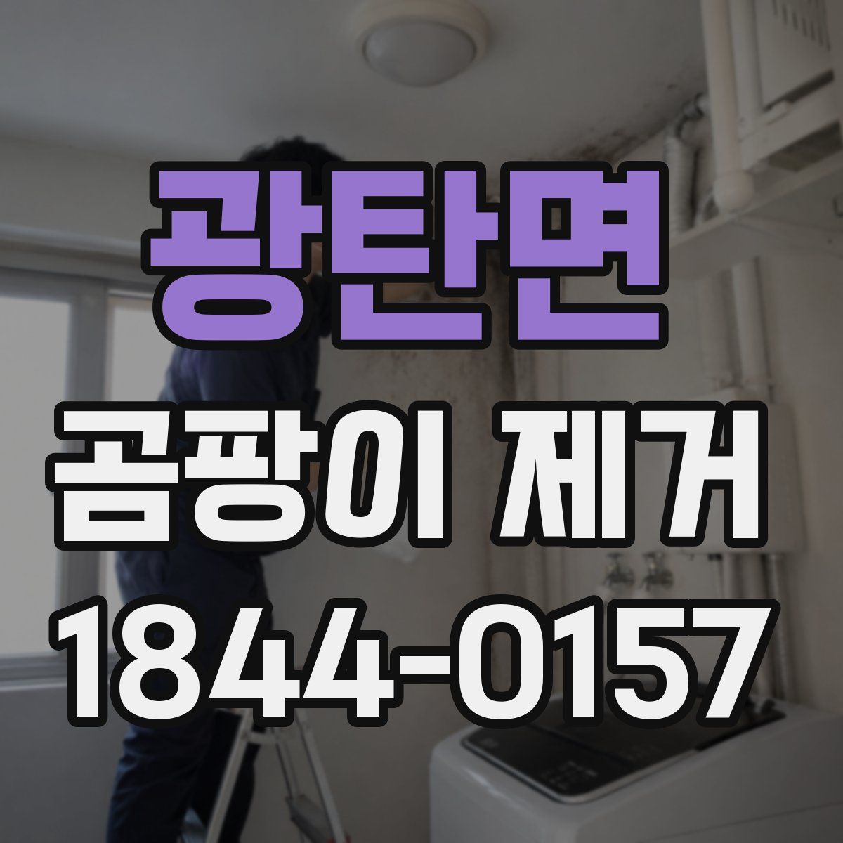 광탄면 곰팡이 제거