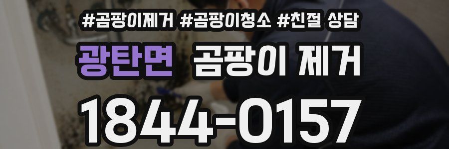광탄면 곰팡이 제거