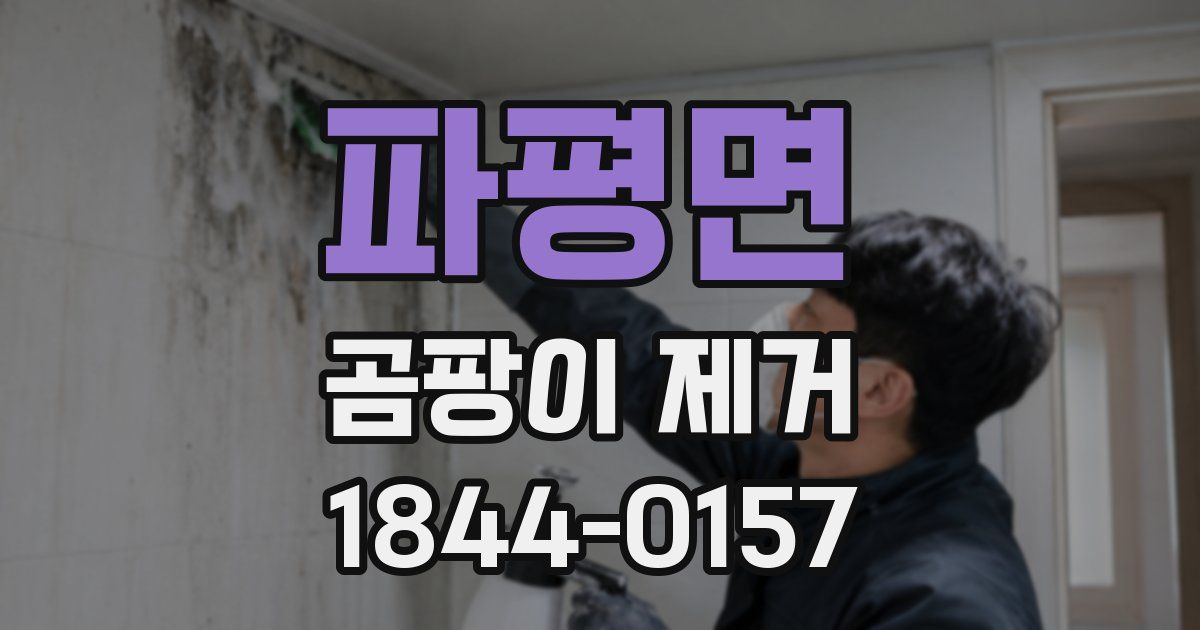 파평면 곰팡이 제거