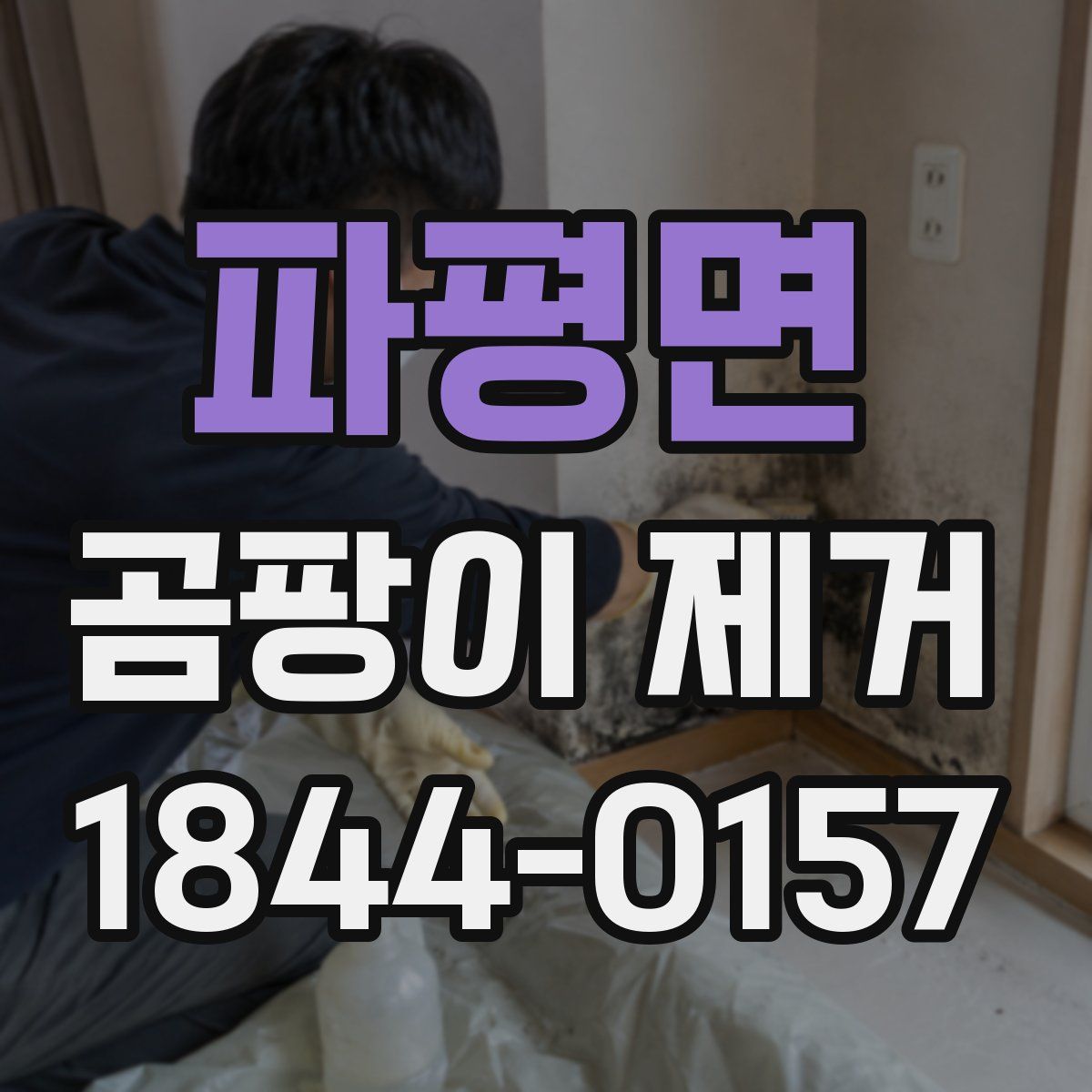 파평면 곰팡이 제거
