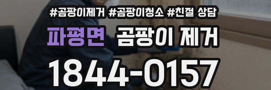 파평면 곰팡이 제거