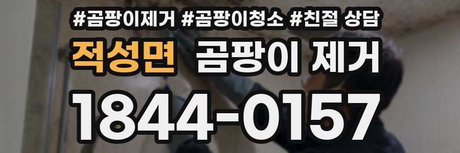 적성면 곰팡이 제거