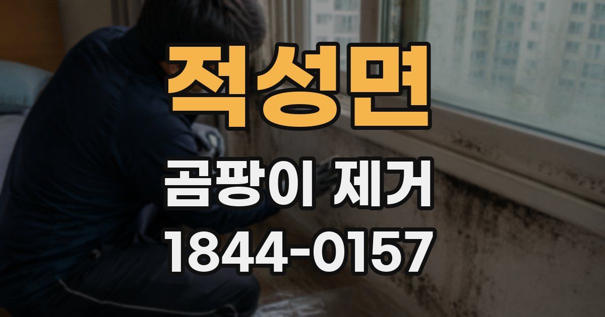 적성면 곰팡이 제거
