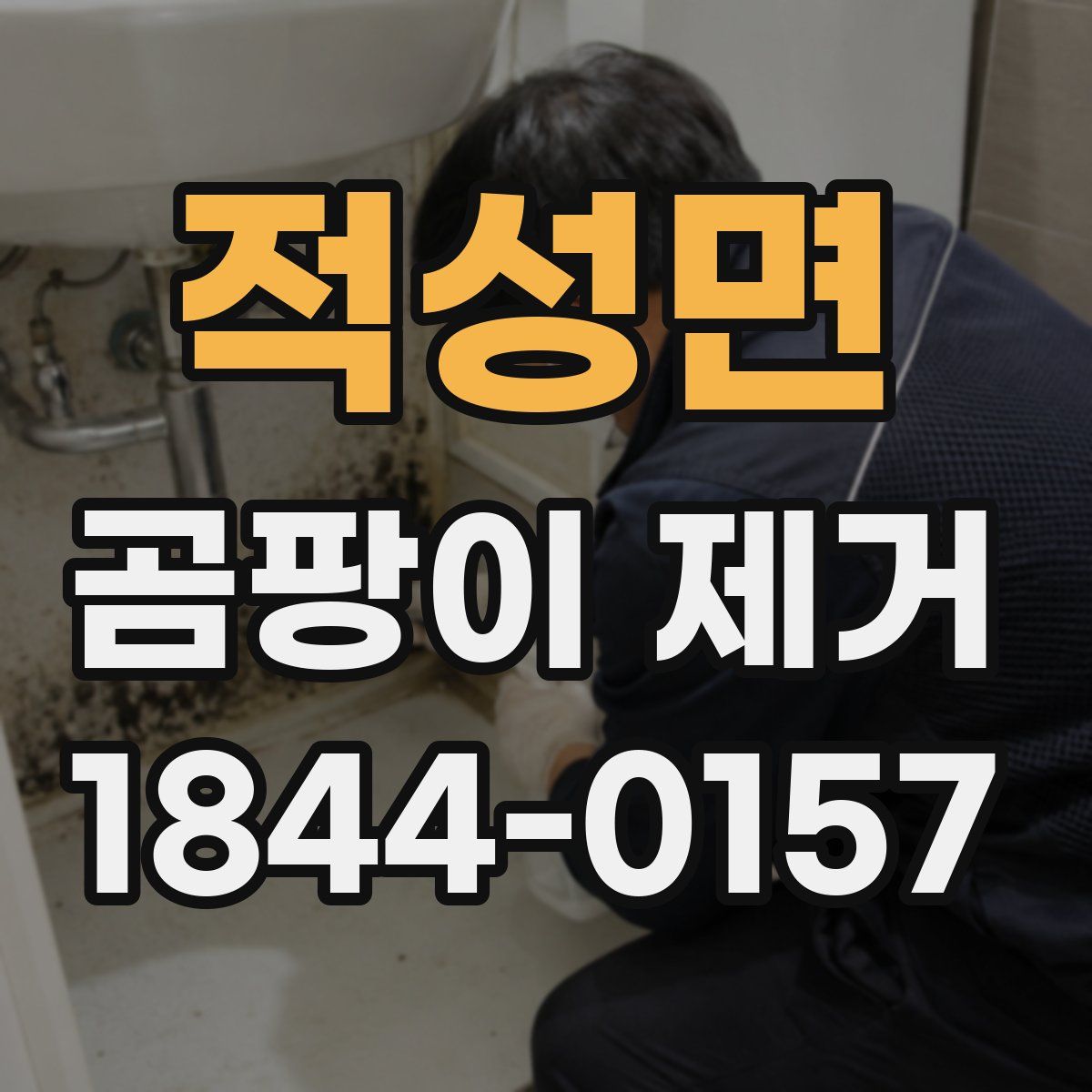 적성면 곰팡이 제거