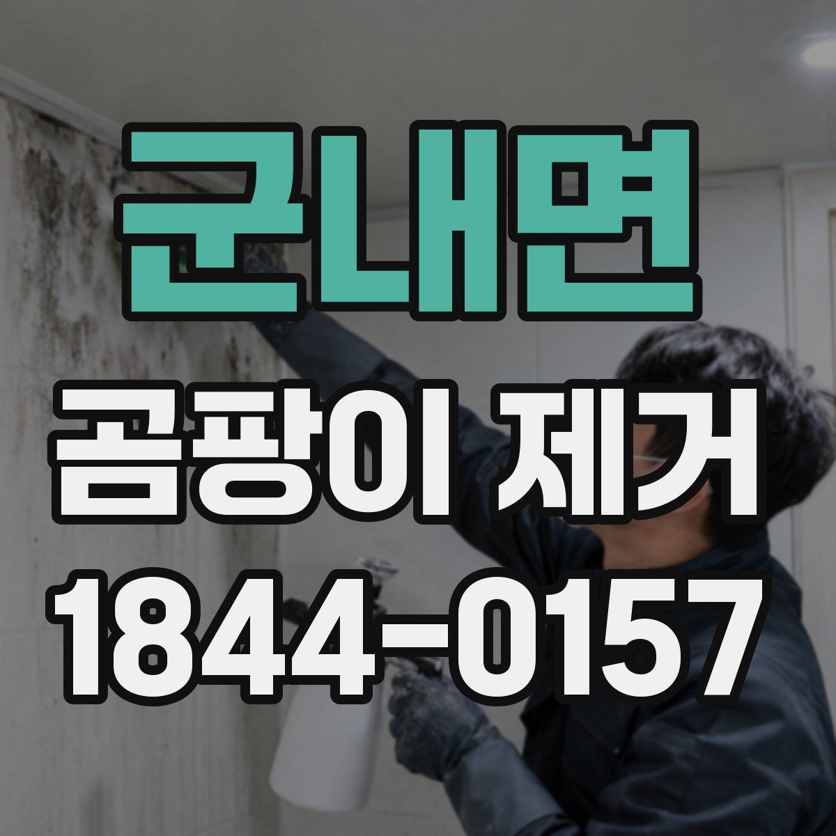 군내면 곰팡이 제거