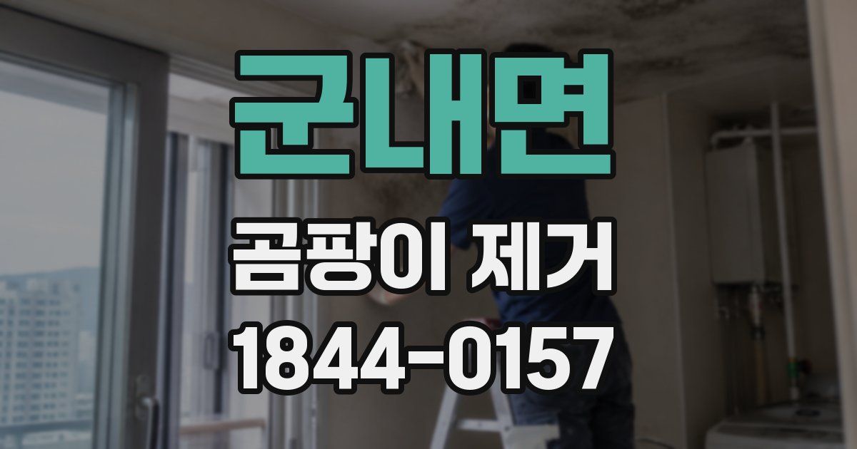 군내면 곰팡이 제거