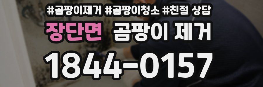 장단면 곰팡이 제거