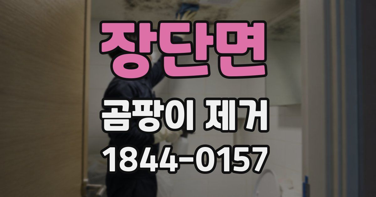 장단면 곰팡이 제거