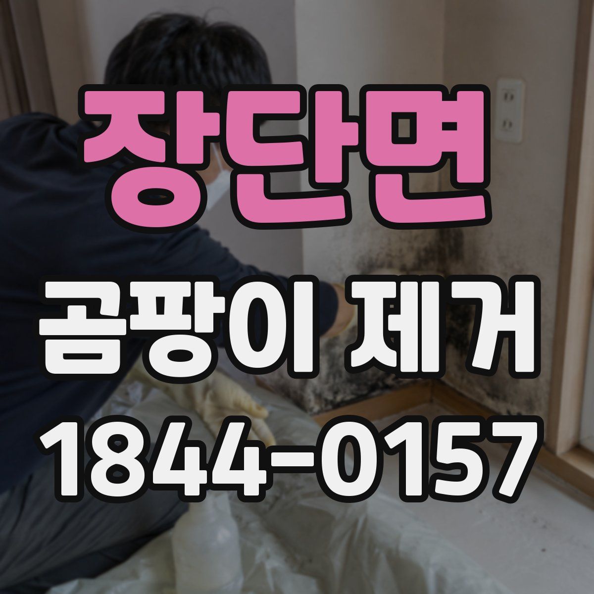 장단면 곰팡이 제거