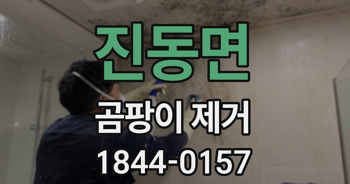 진동면 곰팡이 제거