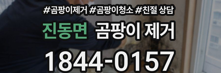 진동면 곰팡이 제거