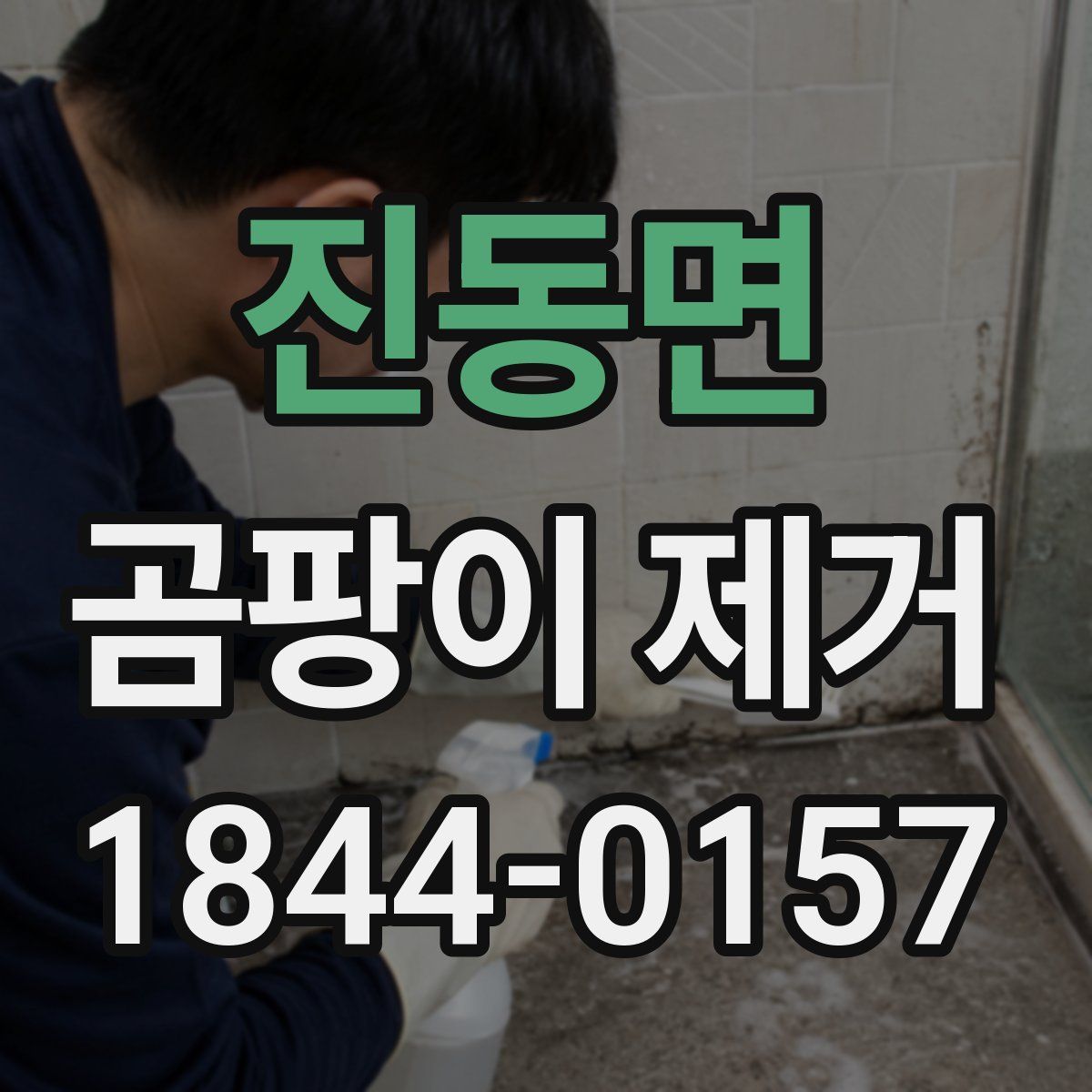 진동면 곰팡이 제거