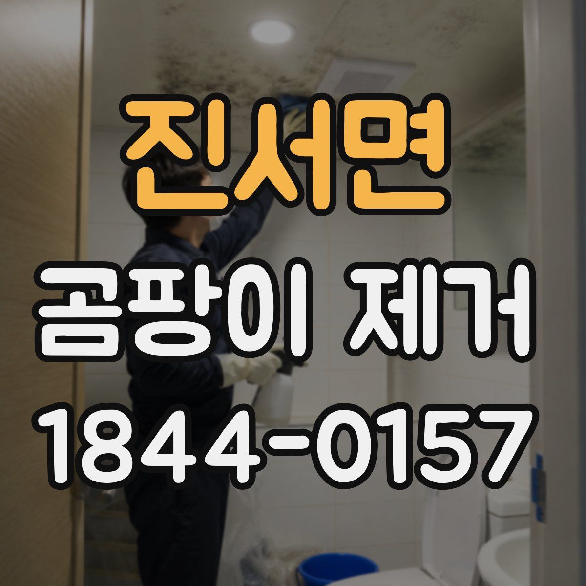 진서면 곰팡이 제거