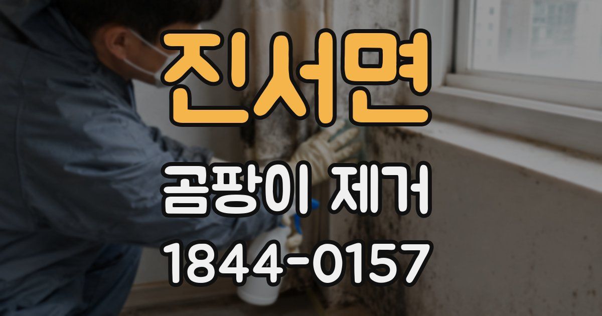 진서면 곰팡이 제거