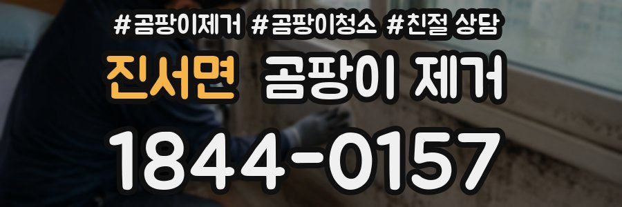 진서면 곰팡이 제거