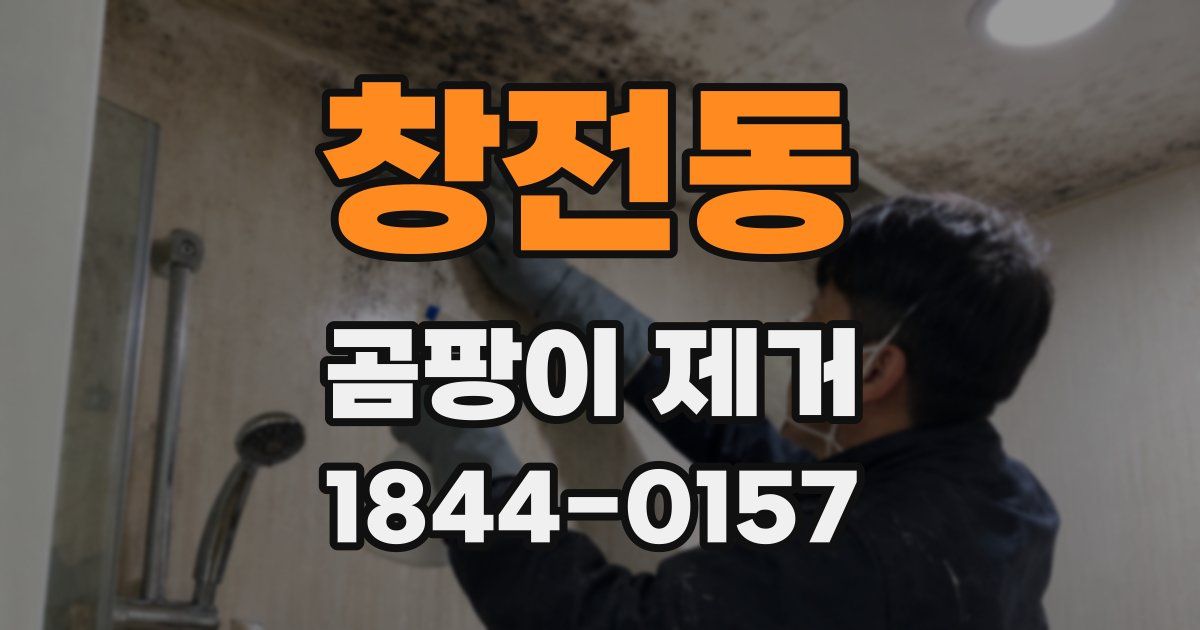 창전동 곰팡이 제거