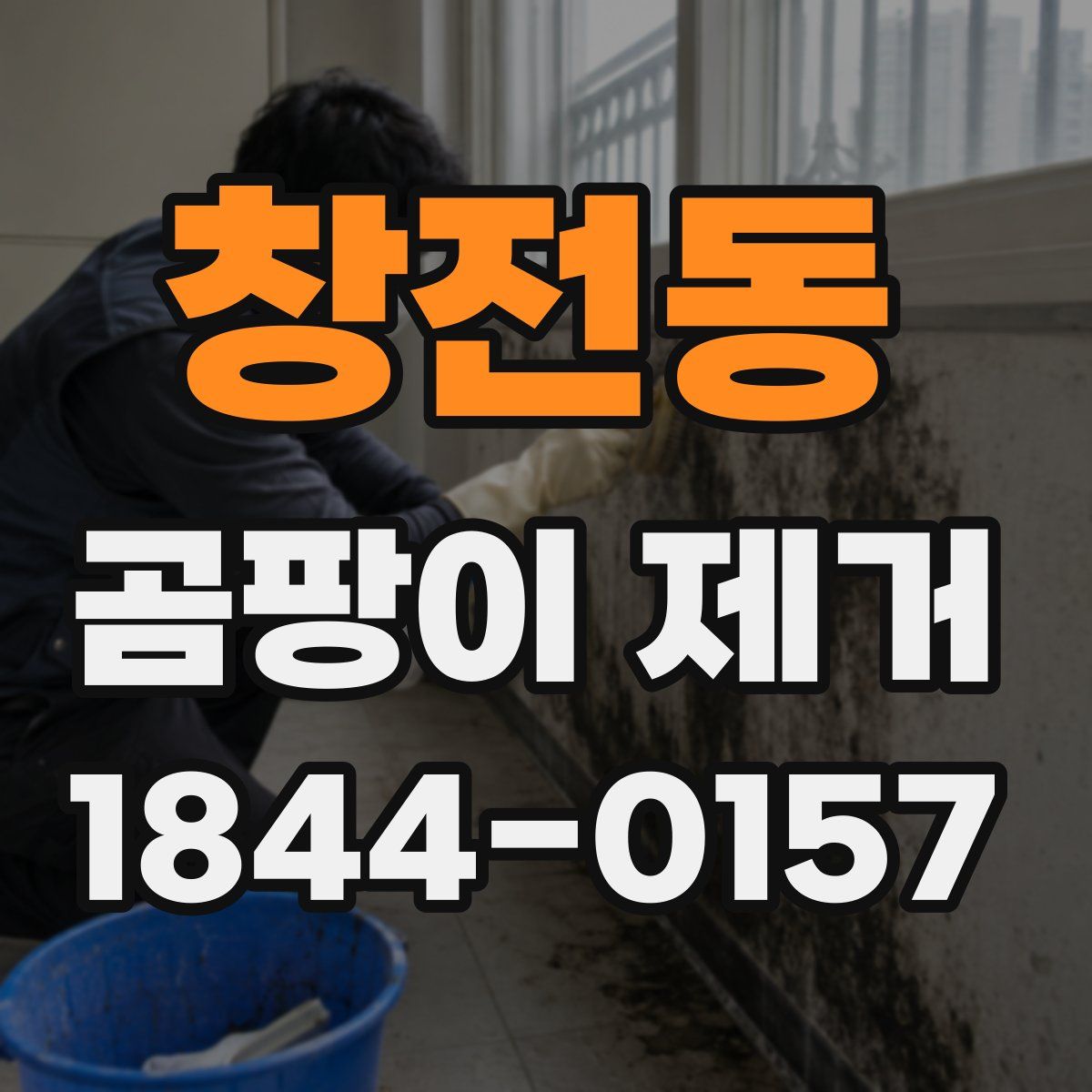 창전동 곰팡이 제거
