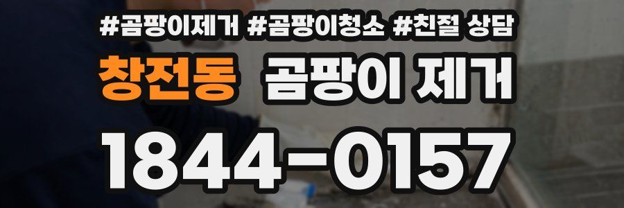 창전동 곰팡이 제거