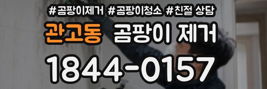 관고동 곰팡이 제거