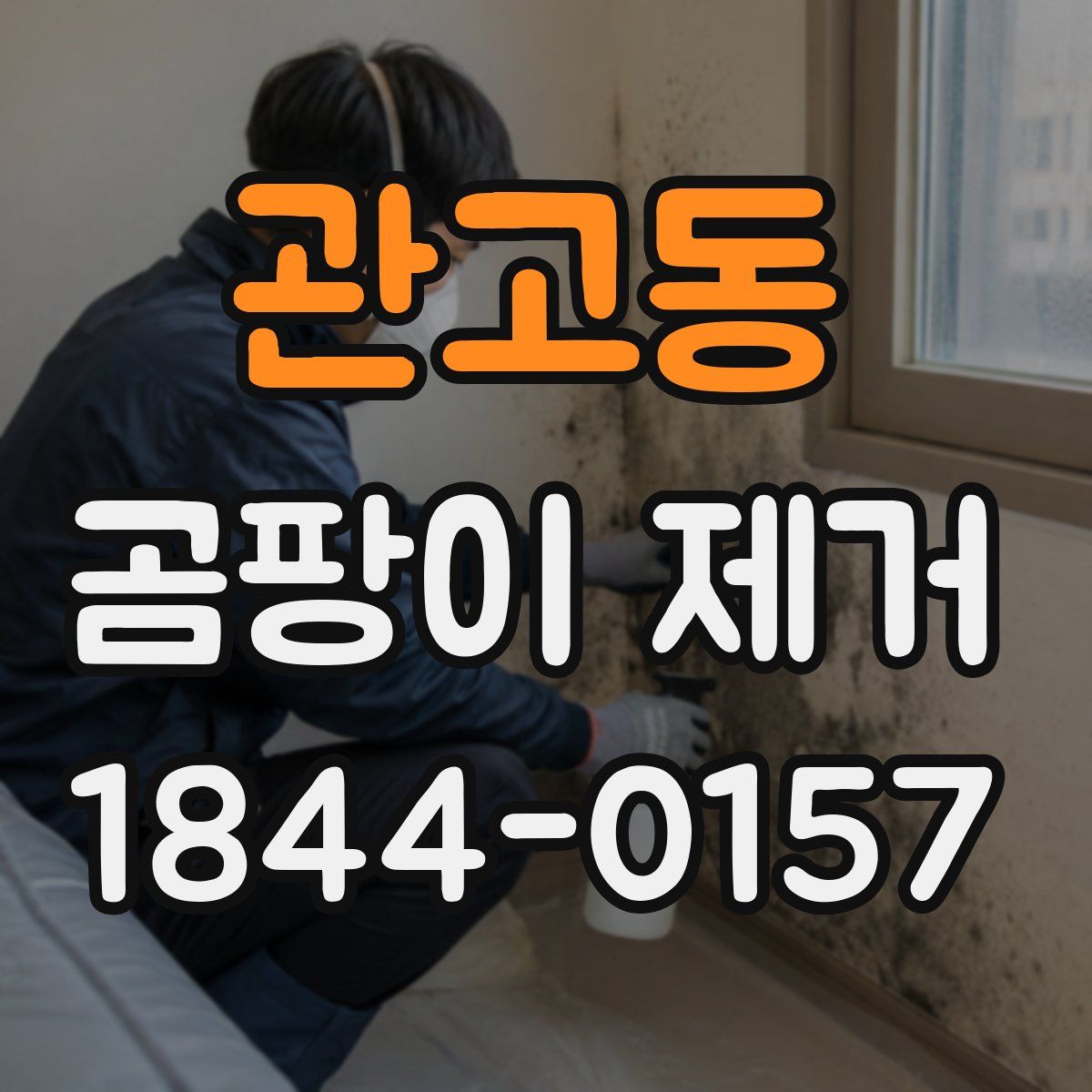 관고동 곰팡이 제거