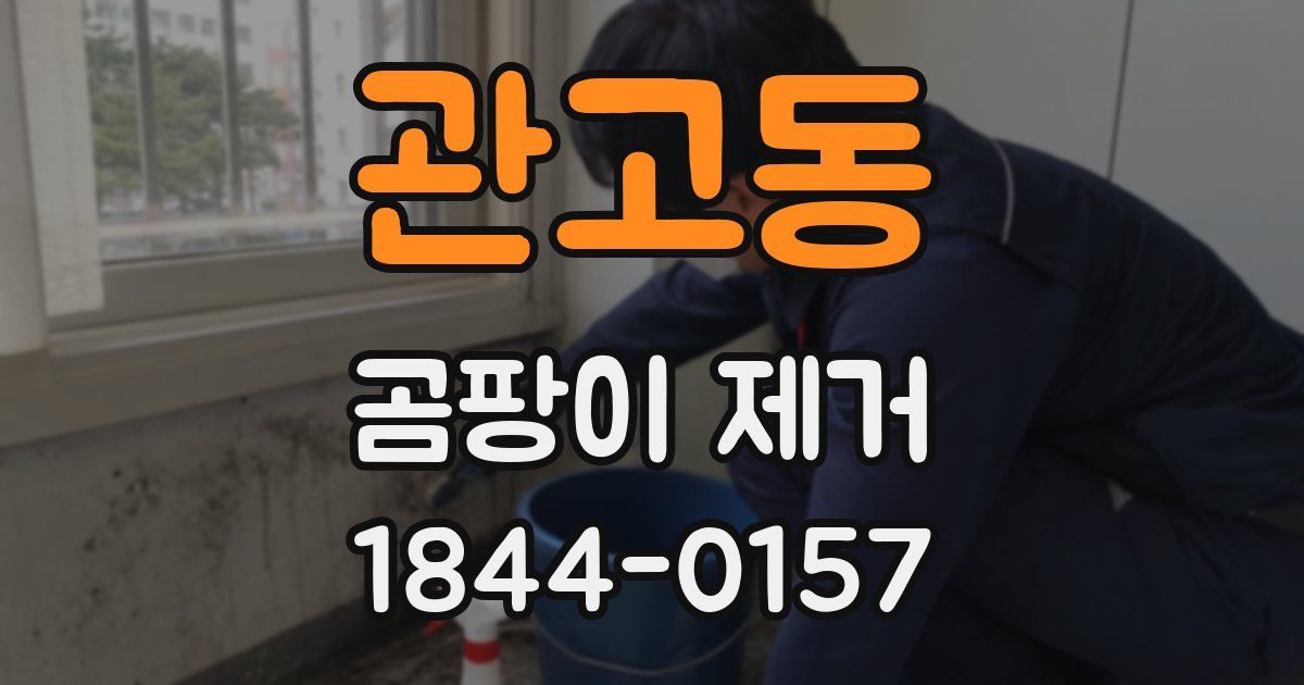 관고동 곰팡이 제거