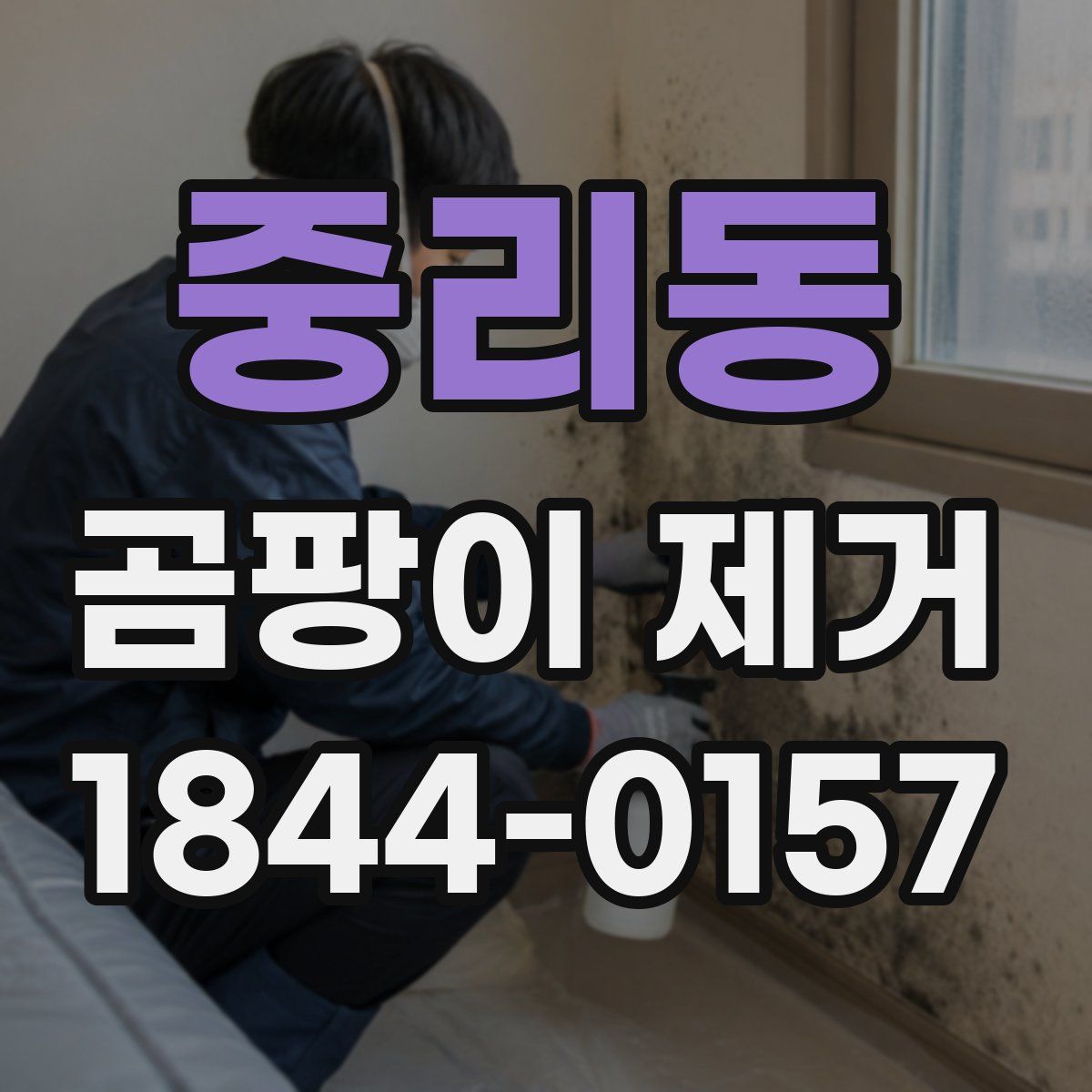 중리동 곰팡이 제거