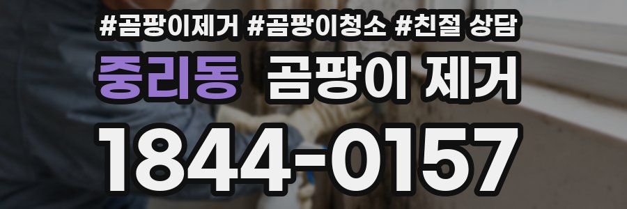 중리동 곰팡이 제거