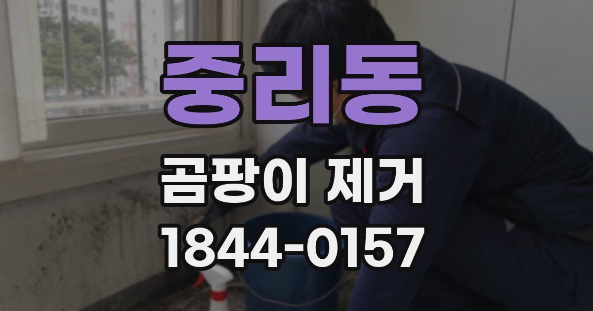 중리동 곰팡이 제거