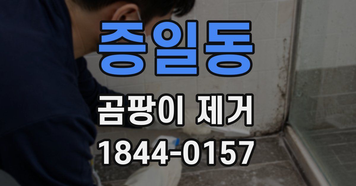 증일동 곰팡이 제거