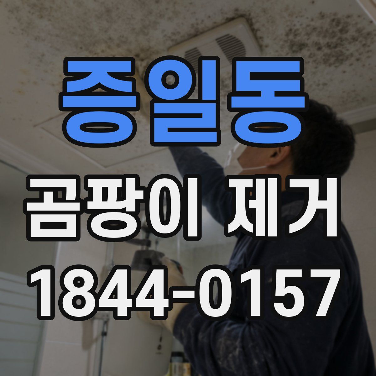 증일동 곰팡이 제거